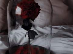 [옞놔] 장미정원