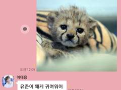 NCT하우스에 어서오세요. # 40