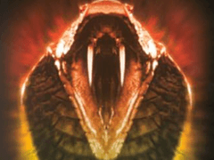 H351) 킹 코브라 (King Cobra, 1999)