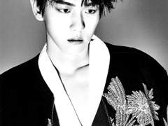 백일몽(白日夢)