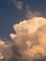 노래 가사 + 창작