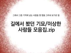 20. 길에서 봤던 기묘/이상한 사람들 모음집.zip