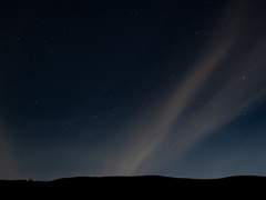 이기적일지라도,