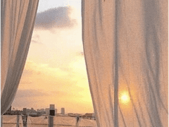 백도화 천사님을 모십니다.