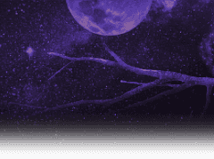 Roll20 인트로 CSS 무료 배포