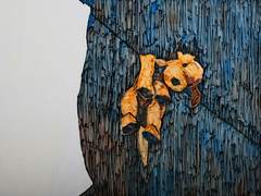 나는 창을 내다보는 일을 배우지 말았어야 했다