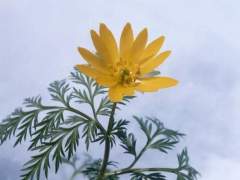 친애하는 나의 친구에게