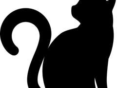 검은 고양이가 죽어버렸어