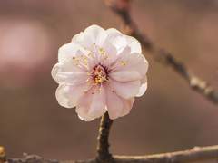 [D-345] 내가 좋아하는 소설에 대하여