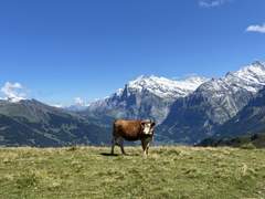 [늘뽀] 1/21 여행은 항상 옳아