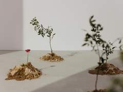 온실 밖의 산책