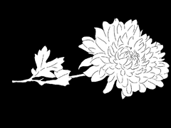 안녕은 영원한 헤어짐은 아니겠지요