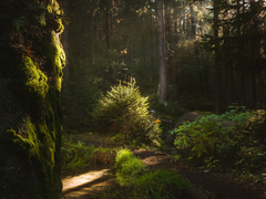 포스트 아포칼립스 소설 속에 빙의하였다. 3