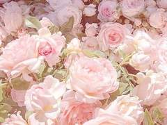 Delancey Etheridge XX 17