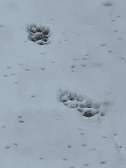 끄적거린 연성 모음 집!