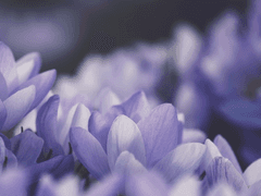 To. Edwin Quid Spenser