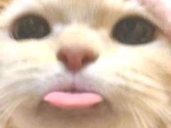 라이즈 막내공주 13