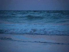 푸른 독초 BLUE VENOM 20 -完-