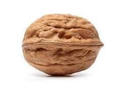 차이나 하드 디스코