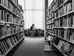 성인은 어떤 공부를 해야 할까