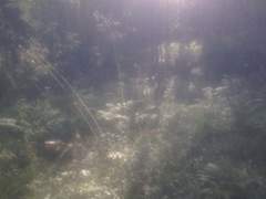 우리는 영원하지 않지만