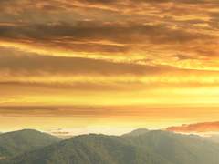 그대의 오늘은 최악이었다.