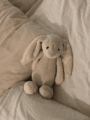 대충굴러가는 썰들