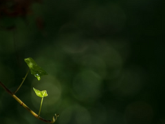 헤어짐의 종류 4