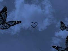 나비를 죽였다.