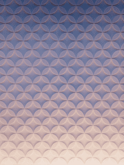 도감 제 1장:채널주 최애