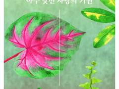 레디메이드: 075 - 아주 낯선 사랑의 기원