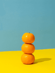 의원 다시 살다