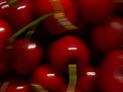 합격자 안내사항