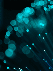 쫑언(가비지타임)