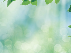 어쩌다, 가족 6.