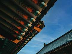 범국(虎國)의 사총사 <1>