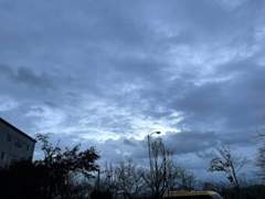 첫만남의 장례식