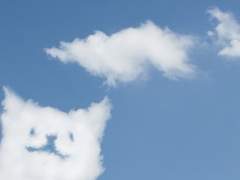 하와이안 피자 붐은 온다 4