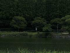 To, Olivier Sion Winchester