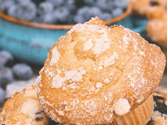 유메카와 츠바사 프로필