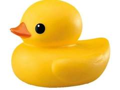 24.01.22 간단한 공지 (수정)