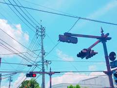 야야. 나 잠깐 눈좀 붙인다. 수업 끝남 깨워라 🐋