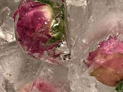 안녕 자기들~ 만나서 반가워. 🦇