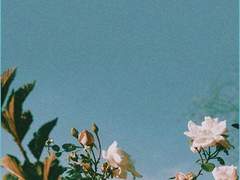 ..반갑습니다. 선배,후배님, 🫧