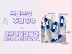 브랜드별 추천 향수 6편