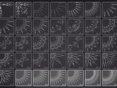 웹툰, 일러스트를 위한 헤일로 SET 11~15분절ver.