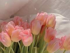 To, Lizette Lev Lindbergh.