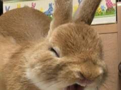 맛도리 센가물6