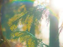 용기를 태운 자리에 남는 것