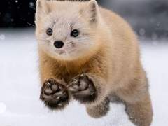 김여주 ! 엔시티로 출근했습니다~+++++++